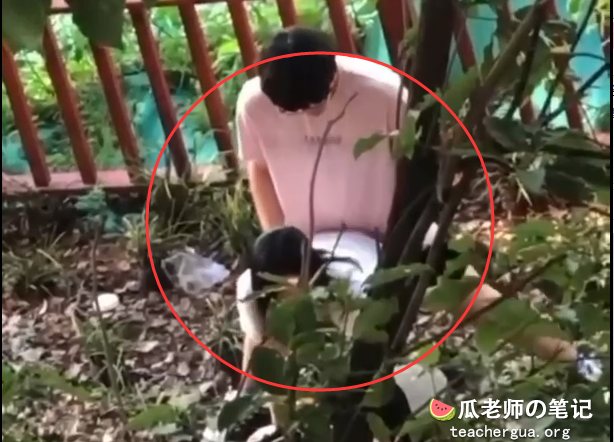 辽宁理工大学火了🔥小树林情侣做爱被偷拍